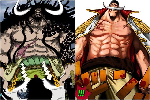 One Piece: 9 nhân vật cực mạnh có thể đánh tay đôi với Tứ Hoàng Kaido Bách Thú - Ảnh 1.