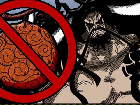 One Piece: Đừng vội phán bừa, có thể Kaido không hề ăn bất cứ trái ác quỷ nào đâu nhé! - Ảnh 1.
