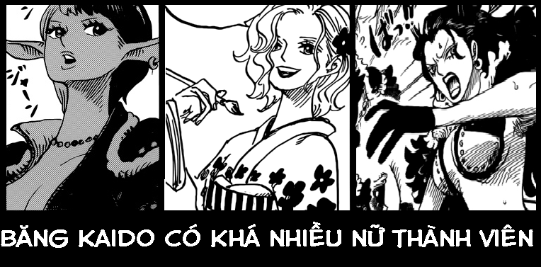 One Piece 9 2 Giả Thuyết Về Than Phận Co Em Gai Bi ẩn Của Momonosuke La địch Hay La Bạn