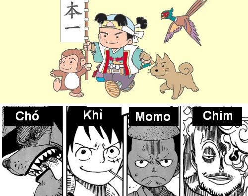 One Piece: Phượng hoàng bất tử Marco sẽ trở lại cùng Luffy đánh bại Tứ Hoàng Kaido? - Ảnh 1.