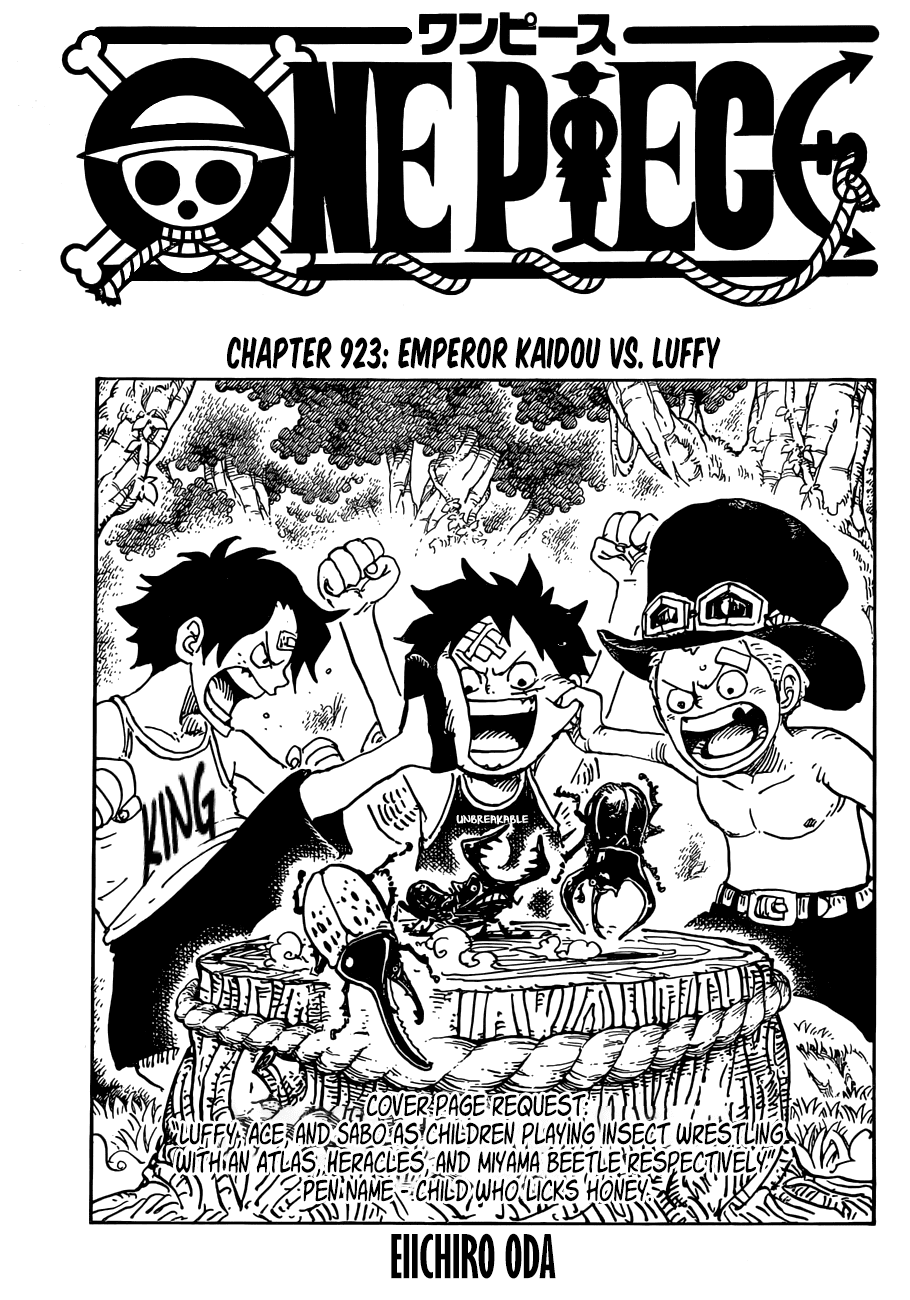 One Piece 923: Kaido hạ gục Luffy - Trò chơi kết thúc? - Ảnh 1.