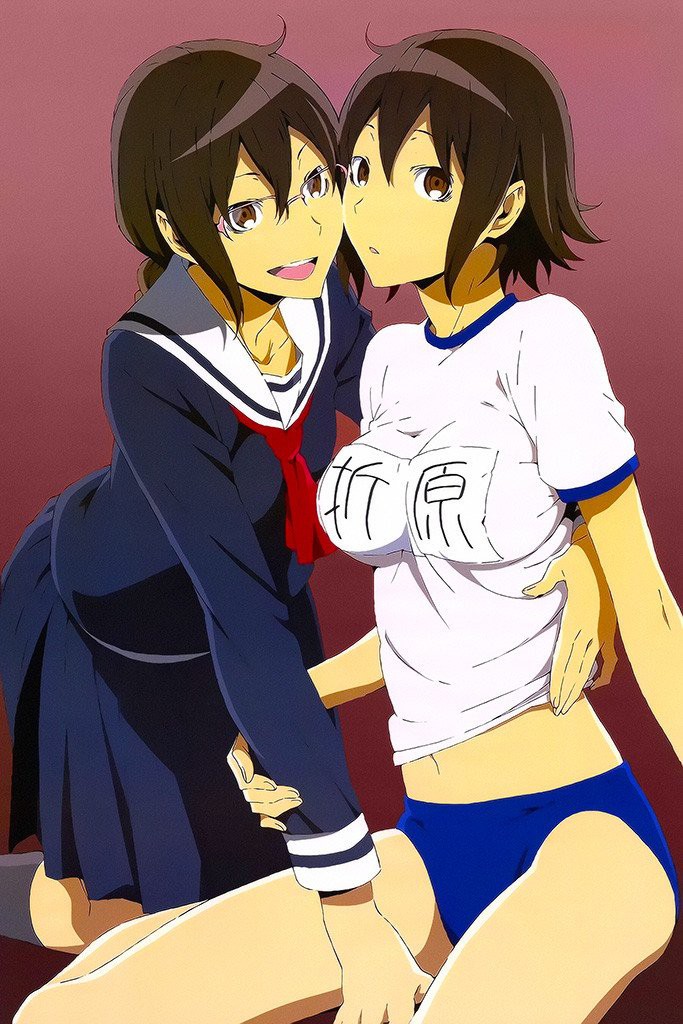 Top 10 cặp chị em gái song sinh dễ thương và nóng bỏng nhất thế giới anime - Ảnh 11.