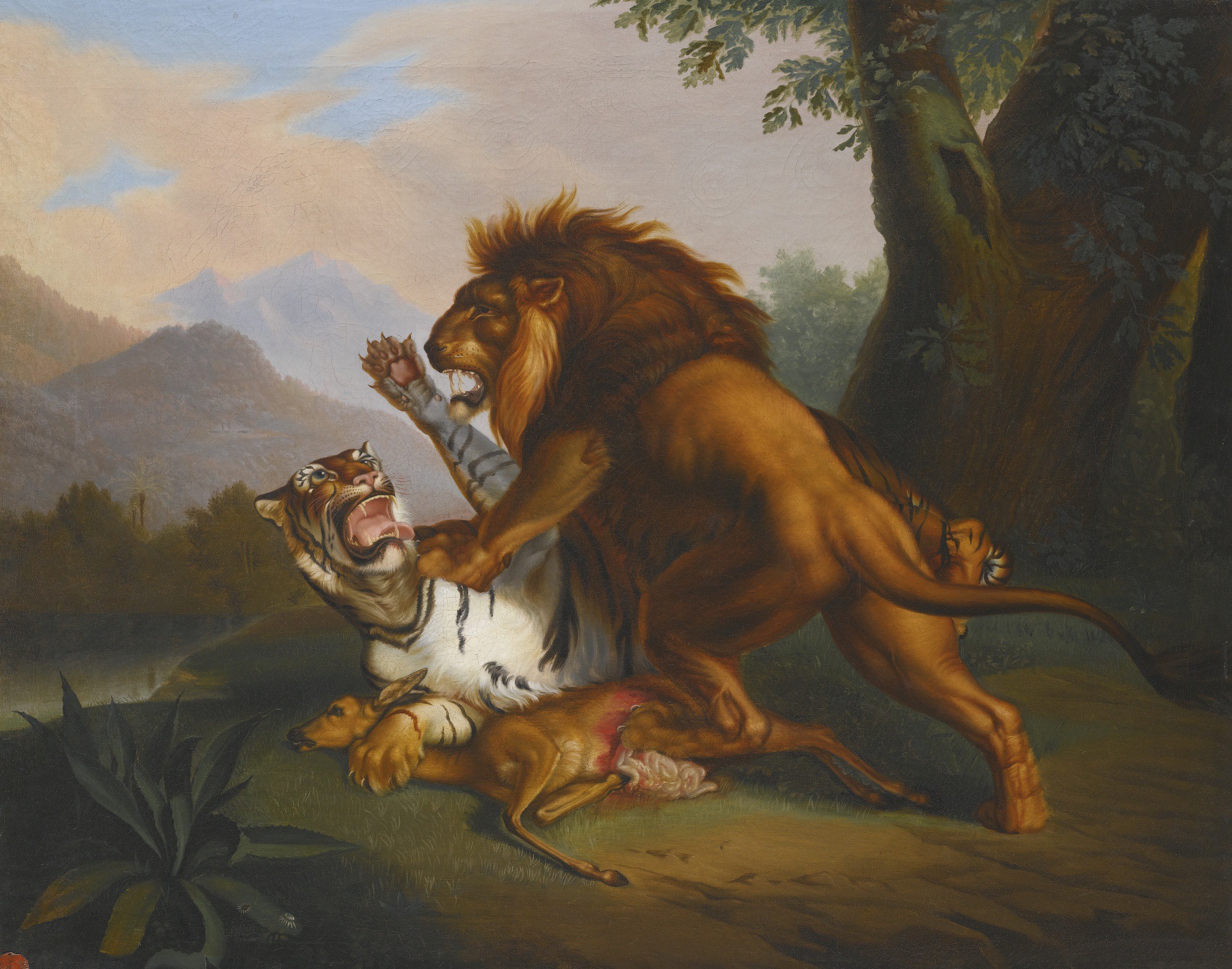 Hỏi cực khó: Hổ và sư tử đánh nhau, con nào sẽ thắng? - Ảnh 5.