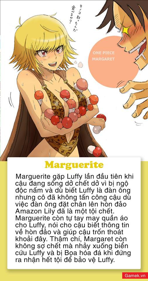 One Piece: 5 mỹ nhân xinh đẹp được fan dự đoán sẽ trở thành vợ của Luffy, Vua Hải Tặc trong tương lai - Ảnh 3.