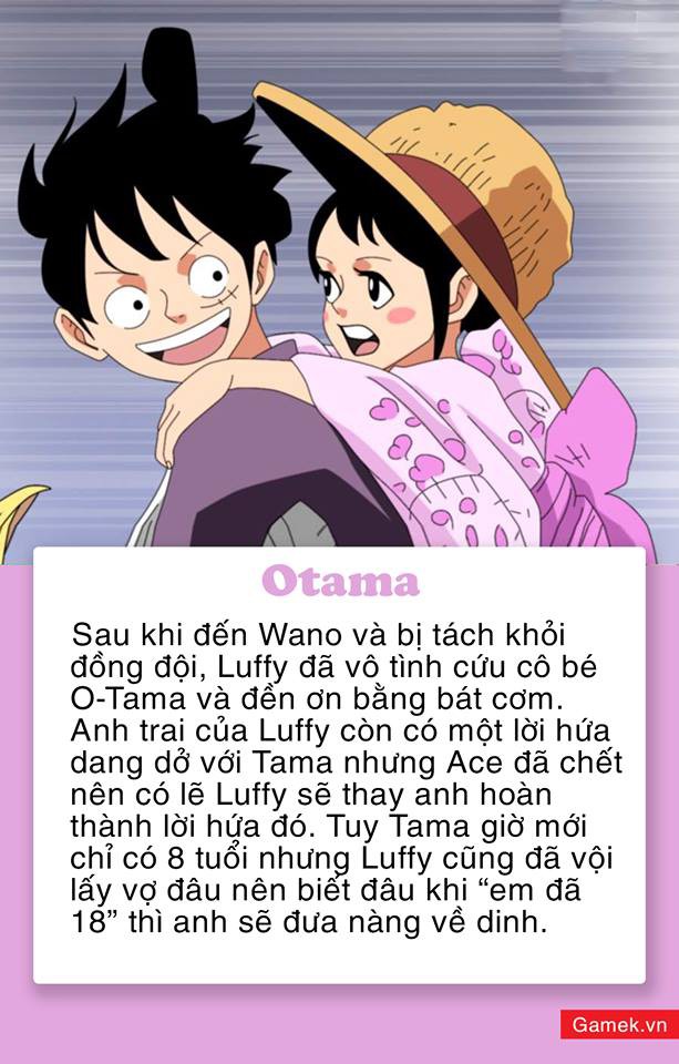 One Piece: 5 mỹ nhân xinh đẹp được fan dự đoán sẽ trở thành vợ của Luffy, Vua Hải Tặc trong tương lai - Ảnh 5.