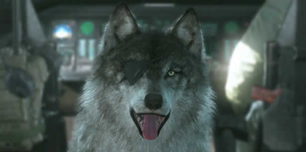 
Độc nhãn D-Dog đầy trung thành trong Metal Gear Solid V
