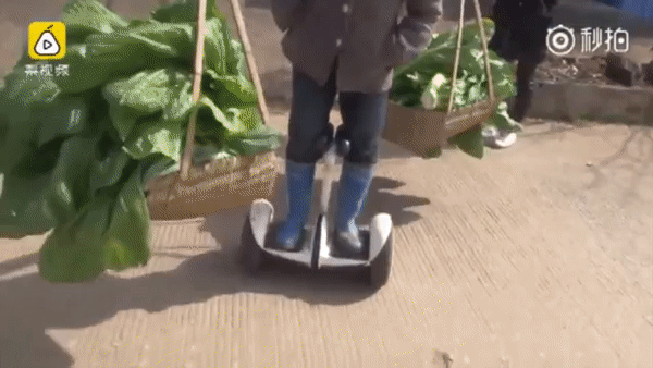 Chuyên dùng Hoverboard để ship rau, nữ nông dân nổi như cồn trên mạng xã hội Trung Quốc - Ảnh 7.