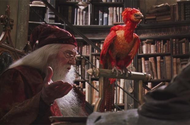 
Cụ Dumbledore thực chất là người đồng tính
