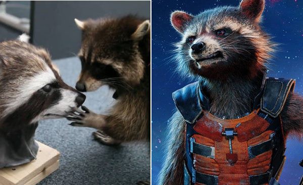 
Rocket Raccoon
