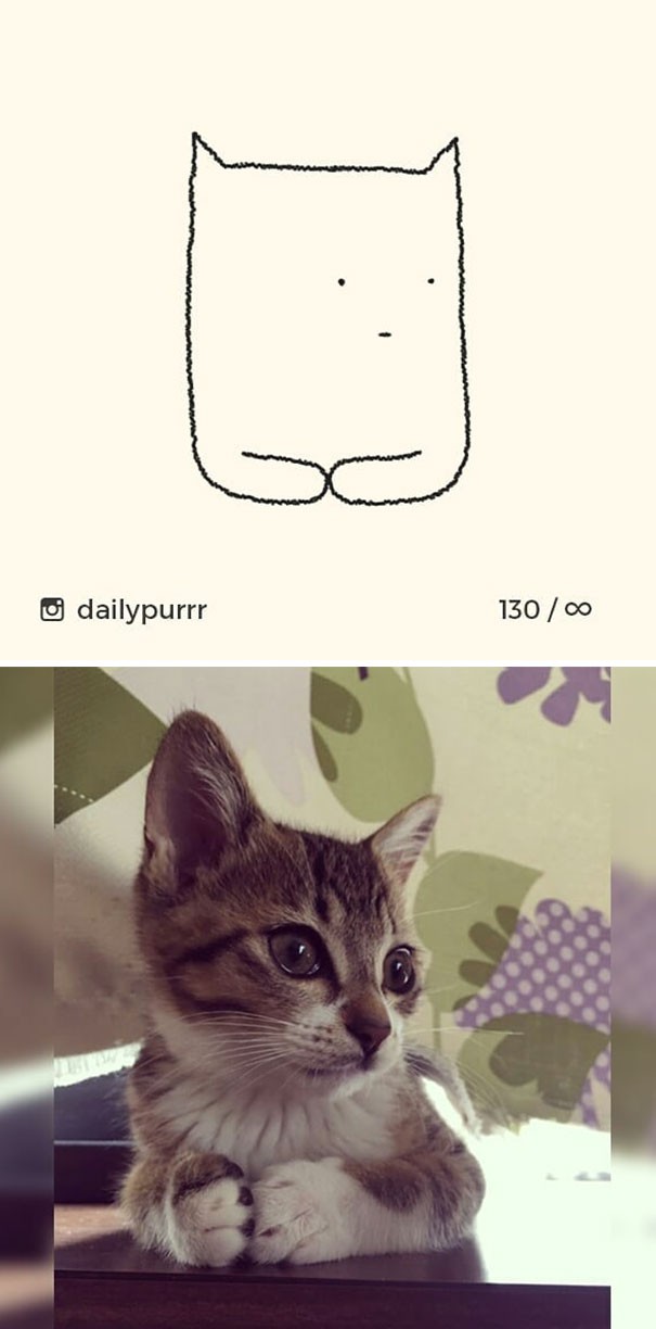 Instagram với cách vẽ mèo trong 2 nốt nhạc khiến Internet thích thú - Ảnh 16.