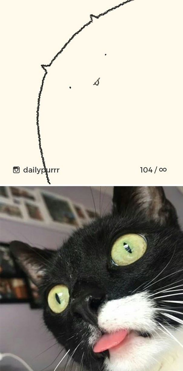 Instagram với cách vẽ mèo trong 2 nốt nhạc khiến Internet thích thú - Ảnh 10.