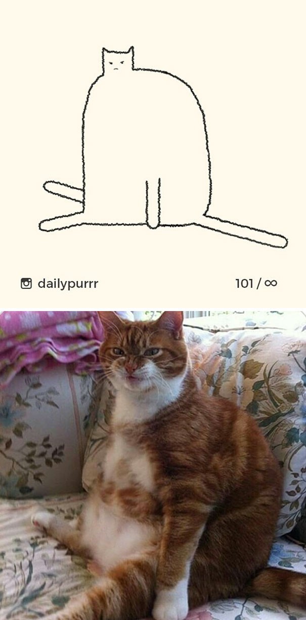 Instagram với cách vẽ mèo trong 2 nốt nhạc khiến Internet thích thú - Ảnh 15.