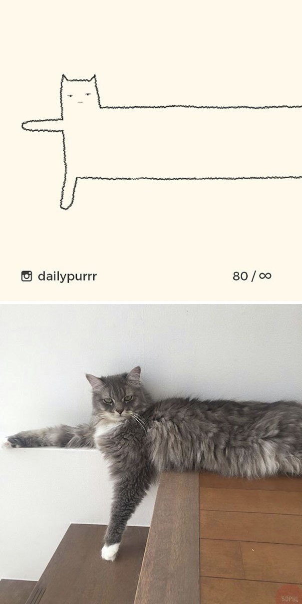 Instagram với cách vẽ mèo trong 2 nốt nhạc khiến Internet thích thú - Ảnh 5.