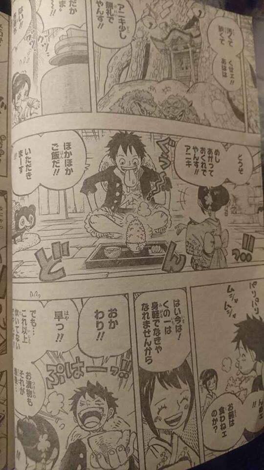 One Piece 911: Hé lộ hình ảnh mới nhất về O-Tama, cô gái bí ẩn có mối quan hệ với Hoả Quyền Ace - Ảnh 3.