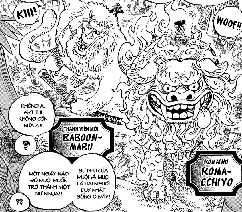 Săm Soi Cac Chi Tiết Xung Quanh One Piece Chapter 911 Ngập Tran Những điều Hay Ho