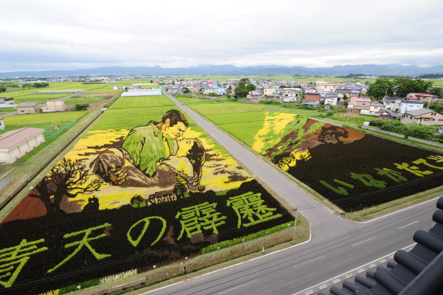 [Vui] Chỉ có tại Nhật Bản, người ta mới có thể vẽ tranh ngay trên ruộng lúa! - Ảnh 3.