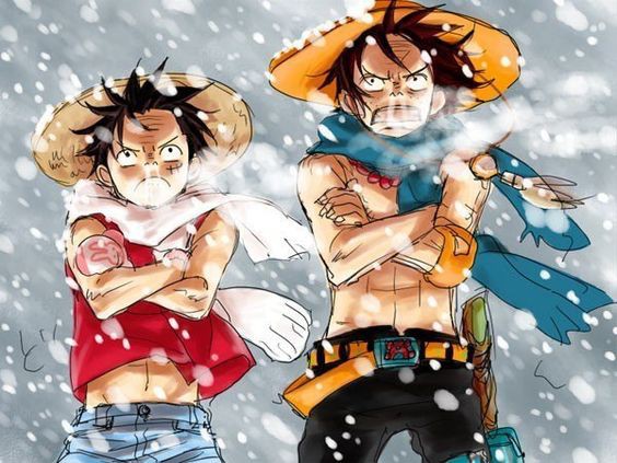 One Piece: Cảm động tình anh em của Luffy và Ace qua bộ ảnh fanart - Ảnh 12.