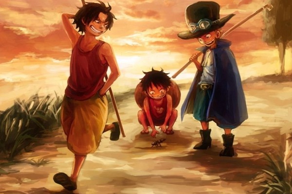 One Piece: Những điều thú vị về nhân vật Ace mà fan 20 năm chưa chắc đã biết - Ảnh 9.