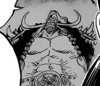One Piece 917 Góc soi mói: Tụt cảm xúc với hình ảnh tướng quân xinh đẹp của Kaido hé lộ nụ cười duyên dáng - Ảnh 9.