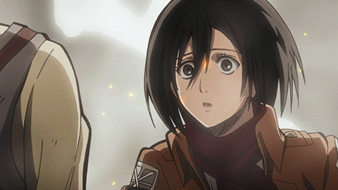 11 thông tin thú vị về Mikasa Ackerman, nữ “cường nhân” xinh đẹp và mạnh mẽ nhất trong Attack on Titan - Ảnh 3.