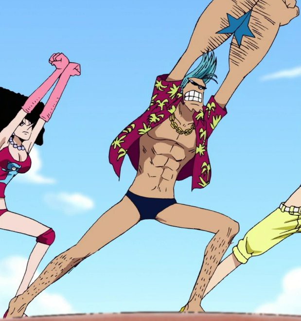 Phượng Hoàng Marco  Việt One Piece Wiki  Fandom