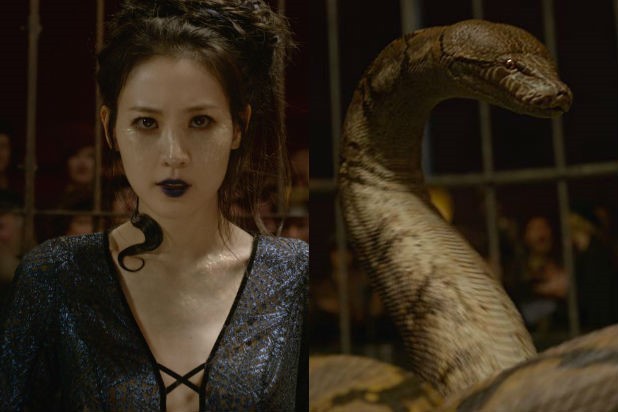 Fantastic Beasts 2: Liệu Chúa Tể Hắc Ám Voldemort có xuất hiện cùng nàng rắn xinh đẹp Nagini? - Ảnh 2.