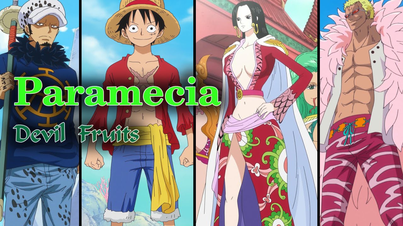 One Piece: Có thật Trái ác quỷ hệ Paramecia chỉ toàn những khả ...