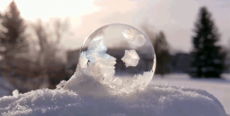 Bong bóng xà phòng đóng băng có lẽ là điều đẹp đẽ nhất trong mùa đông khắc nghiệt vừa qua - Ảnh 2.