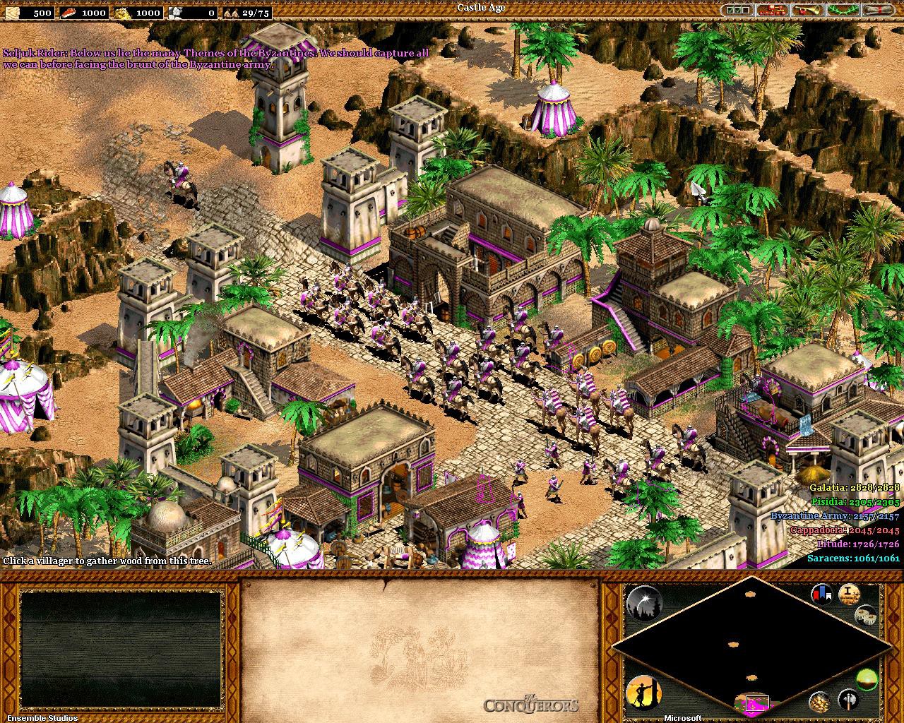 age of empires 2 conquerer