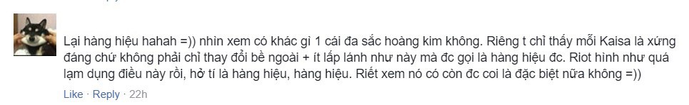 LMHT: Coi Vayne Hàng Hiệu như một sự xúc phạm, Riot Games bị game thủ chỉ trích nặng nề vì lý do làm trang phục quá cẩu thả - Ảnh 4.