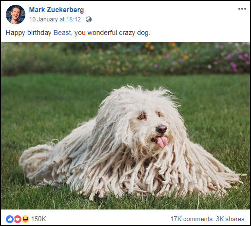Facebook này kiếm 2 triệu Like chỉ nhờ vài ảnh chổi lau nhà mỗi năm, lý do đằng sau chẳng ai ngờ tới được - Ảnh 3.
