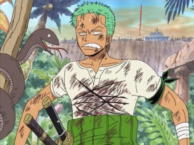 One Piece: Roronoa Zoro - Thánh đi lạc nhưng luôn ngầu như trái bầu trong mọi hoàn cảnh - Ảnh 14.