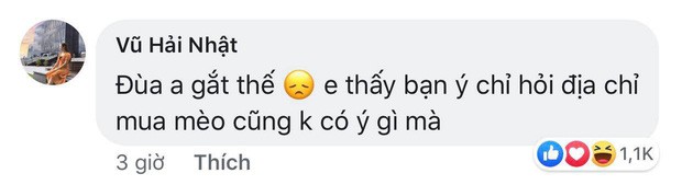 Gái inbox hỏi mua mèo ở đâu, thanh niên rep: Bạn nói xem vì sao mình phải trả lời bạn? liền bị 16k người phẫn nộ trên Facebook - Ảnh 4.