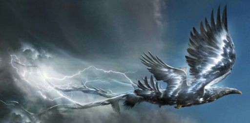 Khám phá huyền thoại Chim Sấm - 1 trong những sinh vật huyền bí đẹp nhất giới phù thủy - Ảnh 3.