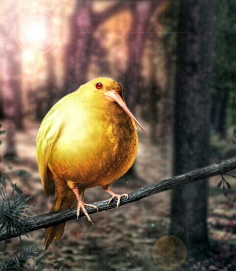 Tìm hiểu về chim Snidget - biểu tượng của trò Quidditch trong Harry Potter - Ảnh 6.