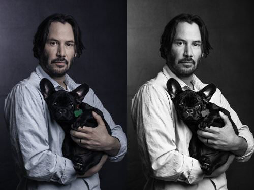 Assassin John Wick: Crazy dog ​​lover in the movie, but what is the truth in real life? - Photo 4.