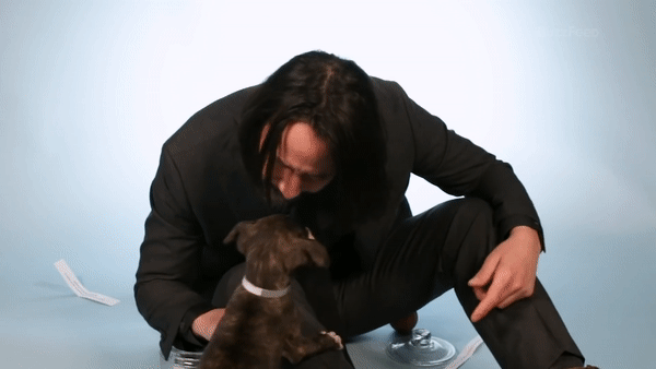 Assassin John Wick: Crazy dog ​​lover in the movie, but what is the truth in real life? - Photo 10.