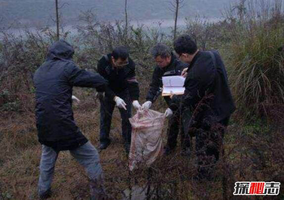 Kỳ án Trung Quốc (1): Vụ phanh thây 2000 mảnh của Điêu Ái Thanh, vì sao vẫn chưa phá được? - Ảnh 2.