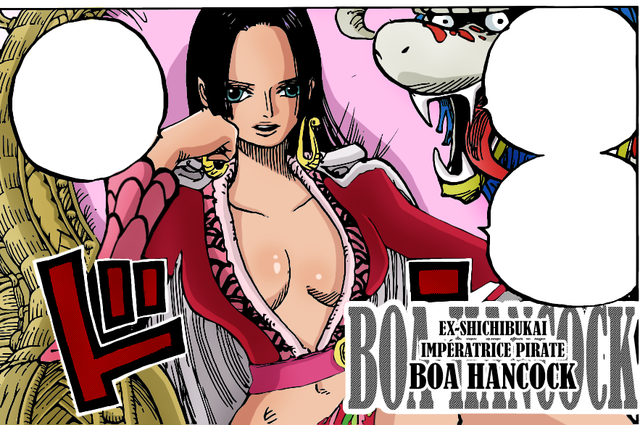 One Piece: Tác giả Oda hé lộ số phận của Sabo, Vivi và chị đẹp Hancock trong arc Wano, các fan chuẩn bị khóc đi là vừa - Ảnh 2.