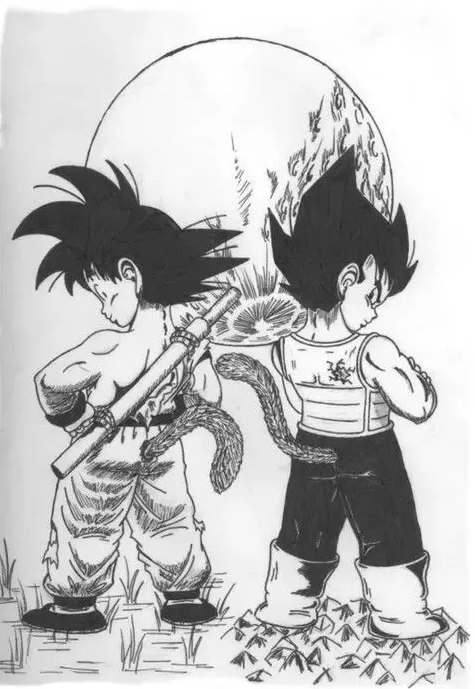 Dragon Ball Sự Khác Nhau Của Goku Và Vegeta Là ở đâu 