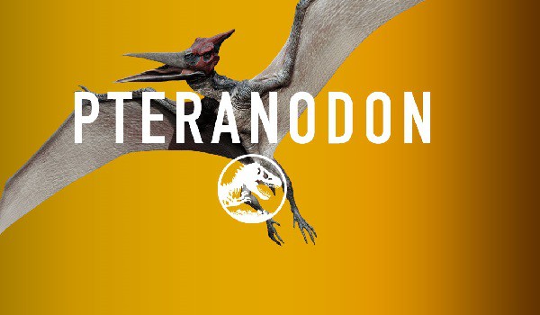 One Piece: Khủng Long bay Pteranodon của King Hỏa Hoạn khi được thức tỉnh thì sẽ bá đạo cỡ nào? - Ảnh 5.