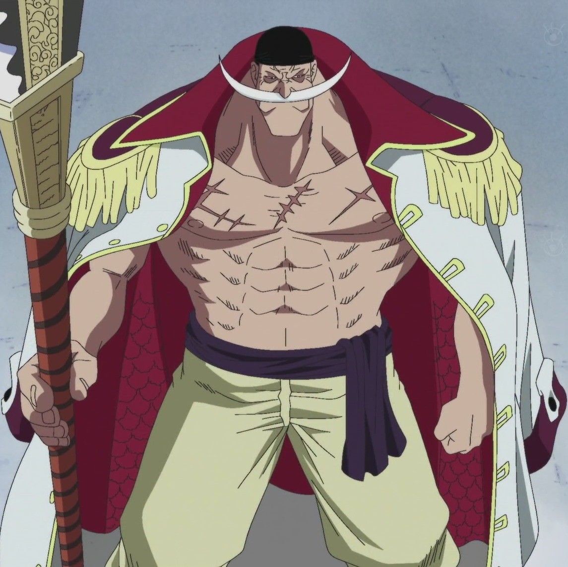 One Piece: 8 chiến binh mạnh nhất trong băng Râu Trắng, vị trí số 3 gây  nhiều tranh cãi
