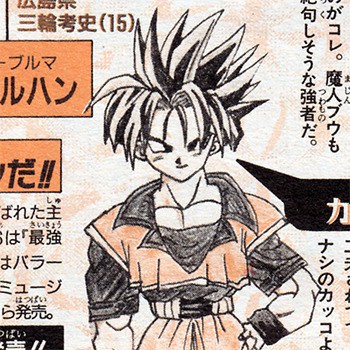 Dragon Ball: Rùng mình khi nhìn lại sự kết hợp quái đản trong cuộc thi thiết kế nhân vật Fusion năm 1995 - Ảnh 10.