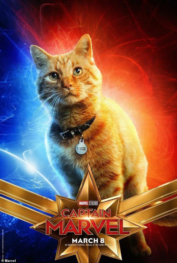 Cười rụng răng khi mèo nhà tạo dáng thành quàng thượng trong Captain Marvel - Ảnh 1.