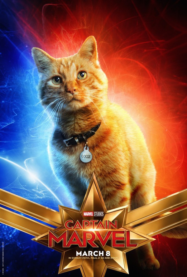 Các fan xôn xao đề nghị làm hẳn phần phim riêng cho boss mèo của Captain Marvel - Ảnh 1.