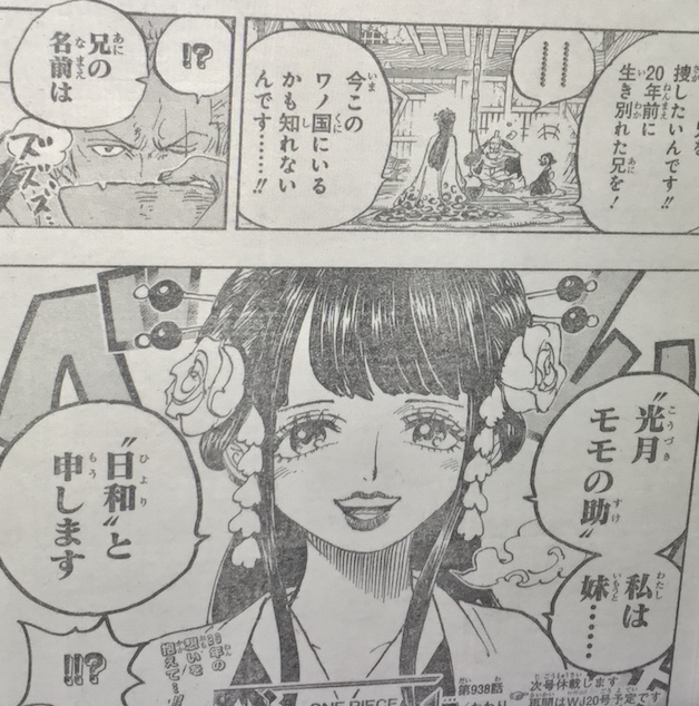 Spoiler One Piece 938: Hóa ra mỹ nhân Zoro cứu mạng chính là em gái của Chúa công Momonosuke - Ảnh 5.
