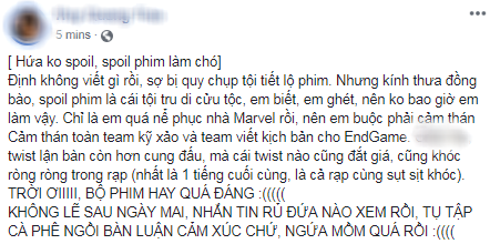 Khán giả Việt xúc động sững sờ, phấn khích tột độ sau suất chiếu ENDGAME đầu tiên - Ảnh 13.