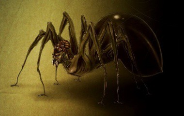 Siêu nhền nhện Anansi: Vị thần ranh ma trong thần thoại châu Phi - Ảnh 2.