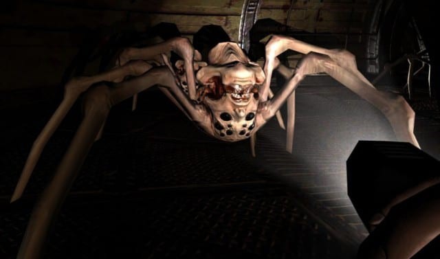 Tìm hiểu về loài nhện, nỗi ám ảnh kinh hoàng trong các tựa game kinh dị - Ảnh 3.
