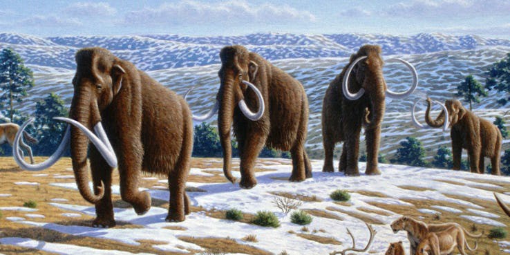 8 quái thú nổi bật xuất hiện trong Godzilla: King of The Monsters khiến các fan ấn tượng không thể quên - Ảnh 7. 8 quái thú nổi bật xuất hiện trong Godzilla: King of The Monsters khiến các fan ấn tượng không thể quên - Ảnh 7.